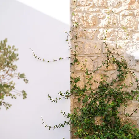 Royal Stay Luxury Homes Paphos Extérieur photo